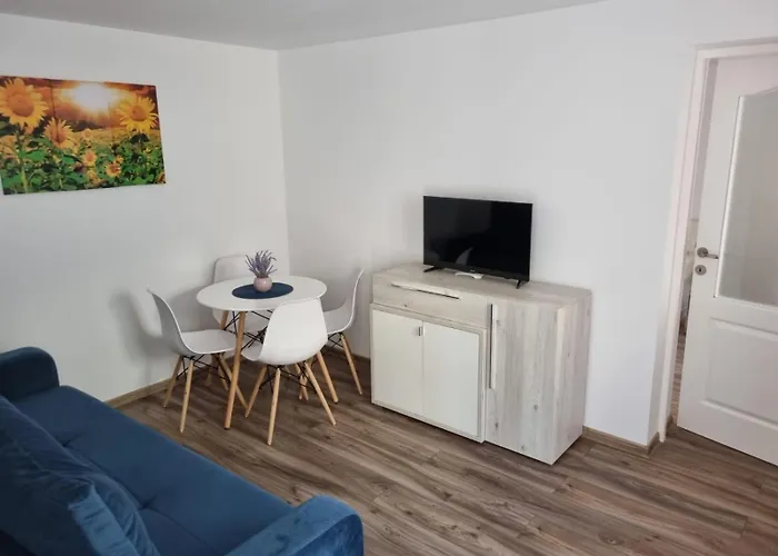 Apartman 2 La Curte Cu Foisor *